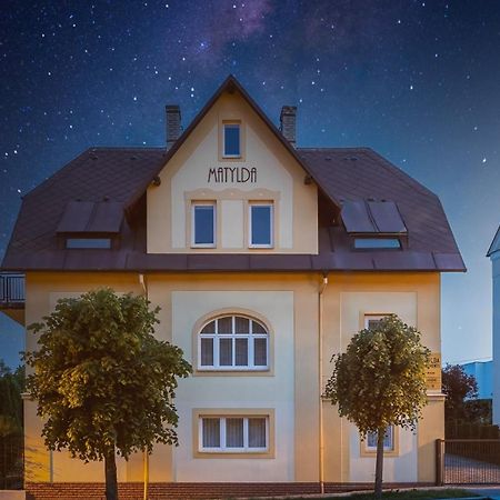 Villa Matylda Mariánské Lázně Dış mekan fotoğraf